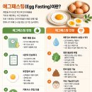 다이어트 - 에그패스팅(Egg Fasting) 후기!