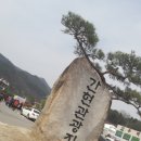 금성관광 - 나주시 예향로 4128 | 금성관광