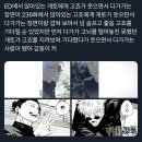 [월간윤아 ‘10月’] 머지않아 열매 맺는 가을을 향하여