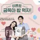 팔도미가