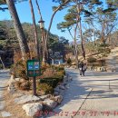 은평-024 이미지