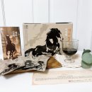 천마목장 | 이경제신제품 래오이경제 제주말진액 솔직후기 부모님 설선물추천으로 좋은 진액