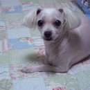 성현동-22 이미지