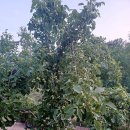 환산농장 이미지