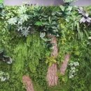 그린피트니스 이미지