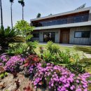 덕수리-1 이미지