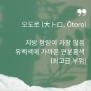 오도로참치 이미지