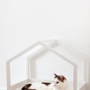 고양이집 이미지