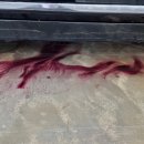 고시워시 이미지