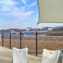 people puppy 이미지