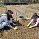 소농농장 이미지