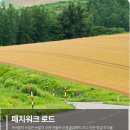 로이팜 | 삿포로 비에이 버스투어 후기, 무료 사진 촬영과 스스키노 하차까지 여름 코스 정리