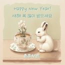 동정보이차