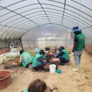 이기숙농장 이미지