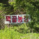 참나농장 | 양주 맛집 쫄깃한 오리 장작구이 _ 먹골농장