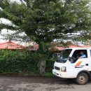 중앙로길 이미지