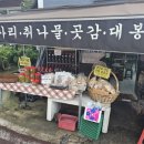 참판댁 민박 이미지