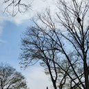 오수천1 이미지