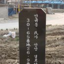 태생1리 이미지