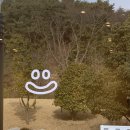 컵넛(cupnut) 네이버블로그