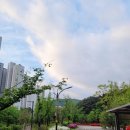 율하2지구_모산공원산책로 | 김해 율하2지구 뜰천 산책로 모산공원 소우지공원 나만의 힐링코스