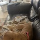 살랑살랑 이미지