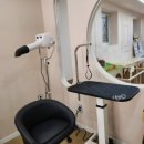 도토리 펫살롱 이미지