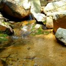 백양산 등산로 이미지