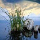 러브카페 이미지