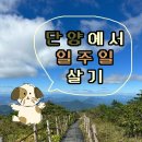보발1리 보발쉼터(라) | 등산(어의곡탐방지원센터-비로봉-어의곡탐방지원센터 회귀), 가마골쉼터, 이끼베이커리, 숲이랑황토펜션