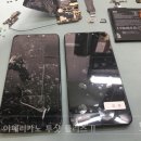 포코위든 이미지