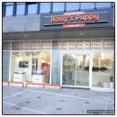 스마일퍼피 강아지분양 동탄점 | 동탄강아지분양, 전문성 과 안전성 있는 분양 시스템 곳 : 홍스퍼피 수원본점