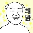 숲속가든캠핑장 네이버블로그