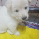 바람재두리펜션 이미지