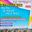 국제드림항공여행사