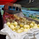 유신농장 이미지