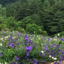 옥봉수산 이미지