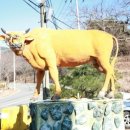 부산시설공단 곰내지소 이미지