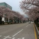 목포대학교골프연습장 이미지