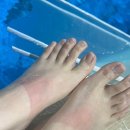 바다속이야기 | 핀삭스 바다 속 이야기 브랑키아 들고 다이빙 다녀온 후기