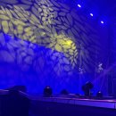 온유플레르 | 250628 썸데이 플레르마 페스티벌 2025 후기