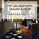 나의 음악, 나의 하프(켈틱하프) | 슈베르트 즉흥곡 Op.90 No.3 - 피아노가 그리는 따스한 위로