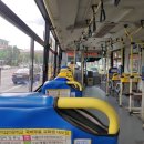 세운버스 이미지