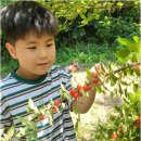 코앤코교육 - 춘천시 스무숲1길 38 | 자연과 친구되는 숲어린이집, 호평동 아름숲에서 시작하는 아이 성장 이야기