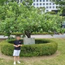 솔로몬체육관 | 카이스트 진로탐방 후기