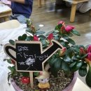 샘머리유치원 이미지