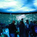 블루플래닛 이미지