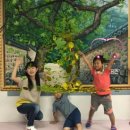 산청중산관광지 이미지