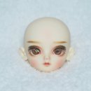 디어마인 이미지