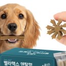 고려수제약 네이버블로그